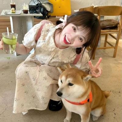 野猫嬉春